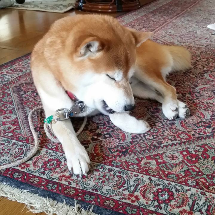 04635f78 56a8 4d5d bfca 803497928223