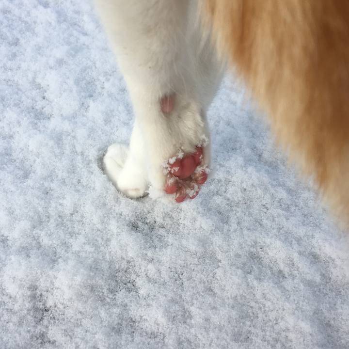 0463be8f 6836 4b81 9275 9f67e1ff18f3