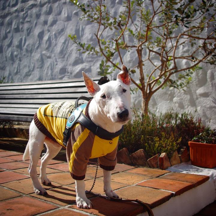 0463db31 6202 4c56 805b 61631508081a