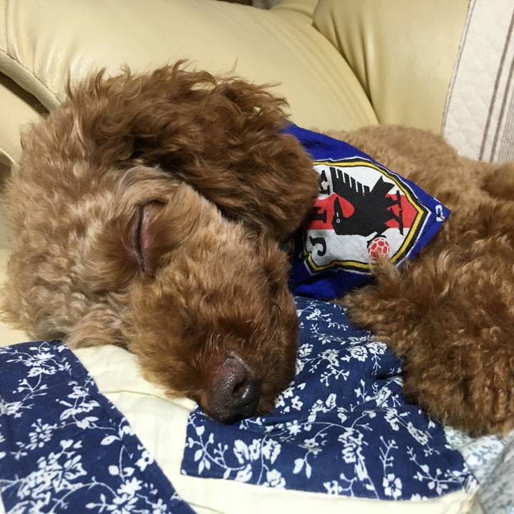 04656952 5632 45ef 9423 e608a0fb4377