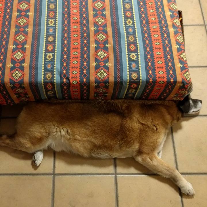 04660229 ce60 453e abde 4917cb47a1e2