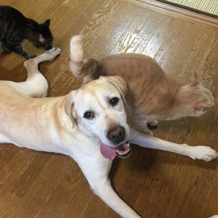 0466146a 3e97 457e b501 283fb8c6c128