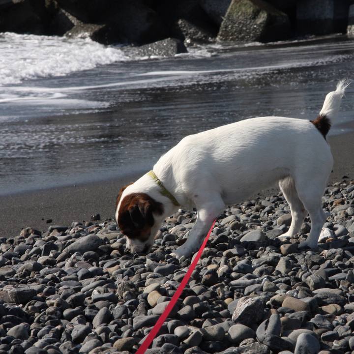 0466f291 d888 4da0 b787 e9f8e0e2a3f2