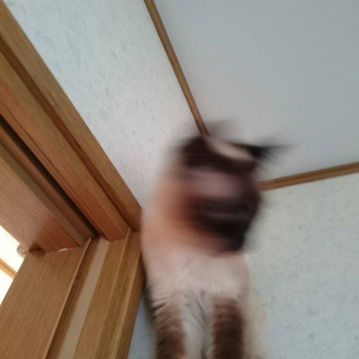 04673f90 983f 4cb3 8a87 0e1e8f061aba