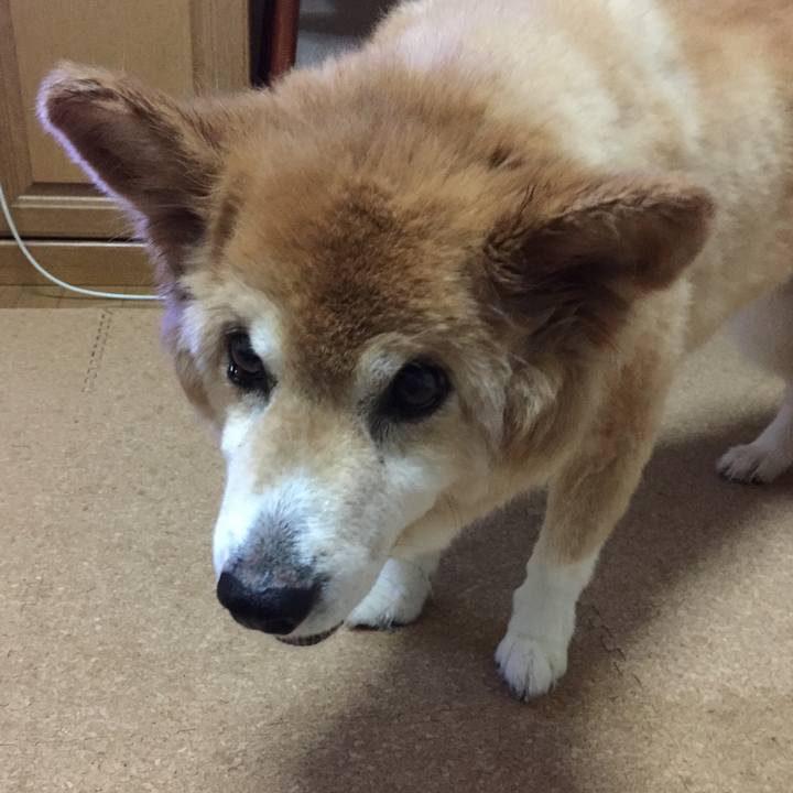 0467f6d9 2003 4182 b3ce b87f8bbc3fbb