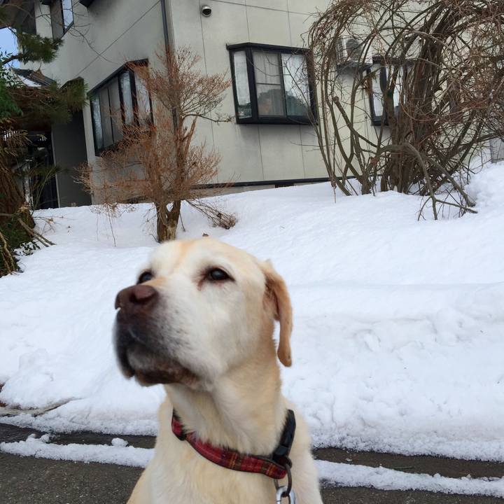 04686e87 067e 4030 8581 9748ee74e11d