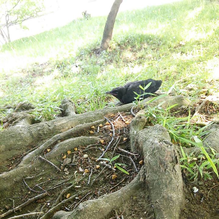 04689a5c 8d50 4e73 a57d 11426f61a9b7