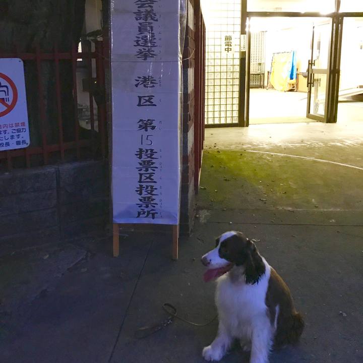 0469d822 ddf0 4e1b 8ffd 0c37eccf8ea1