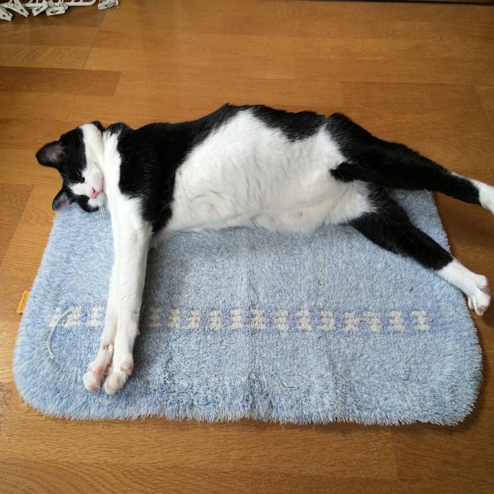 046a6c91 7150 42d2 833b a1c67786c99c