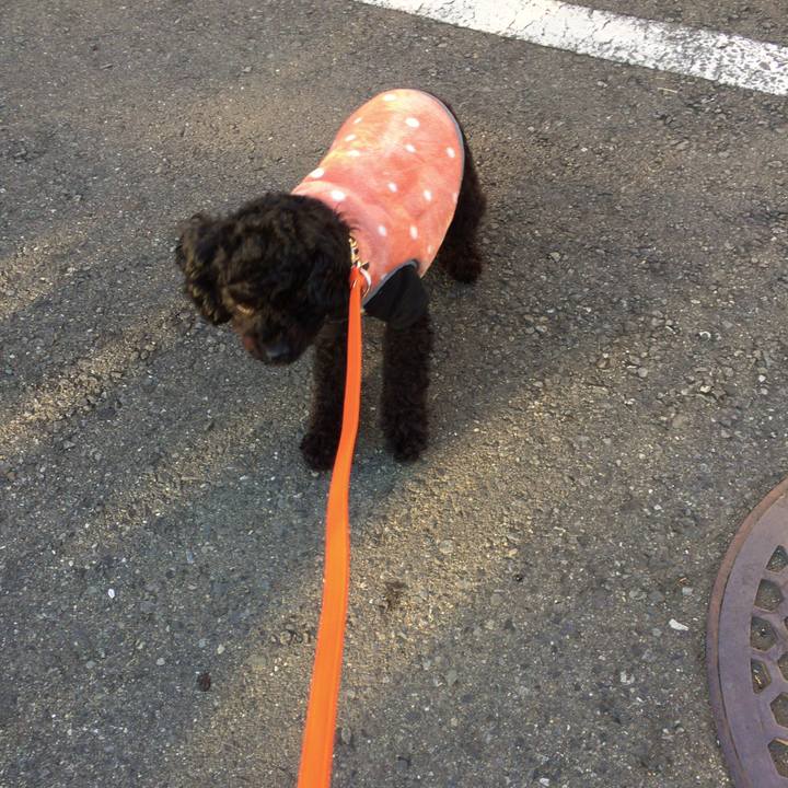 046ae593 ad42 4547 9ba7 d0dde9908e94