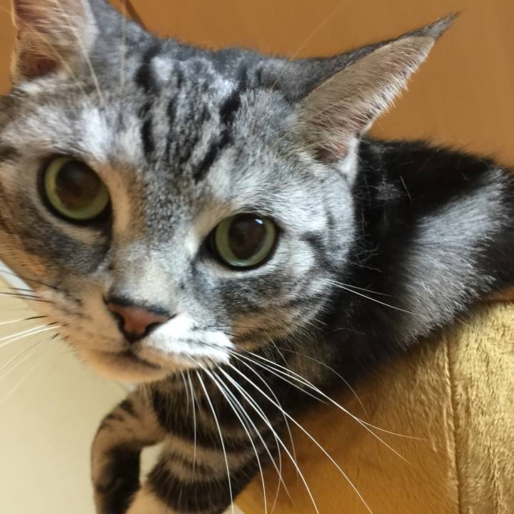 046b8831 5b99 4845 8723 04f9199d162f