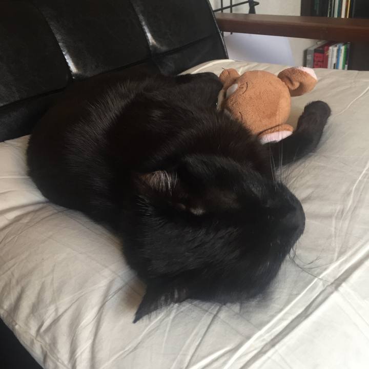 046b8d42 7c8b 4729 8961 18ed5d3d5592