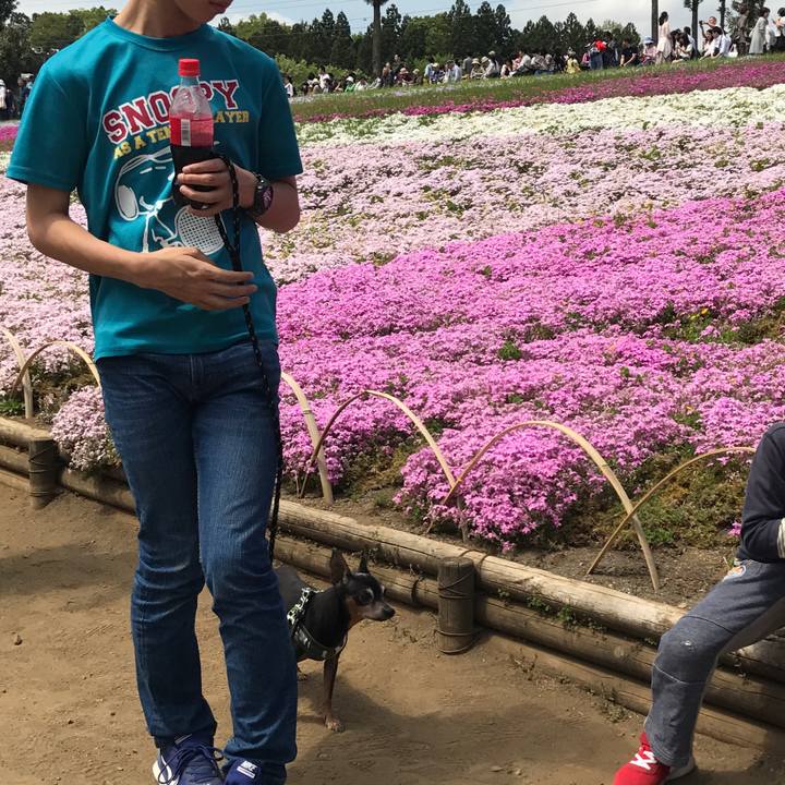 046ba40b 8bc1 434c 947e e37b91a06779