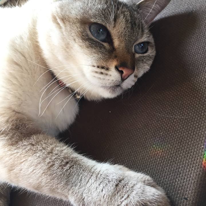 046bf603 708b 4529 b072 a9413b560c05