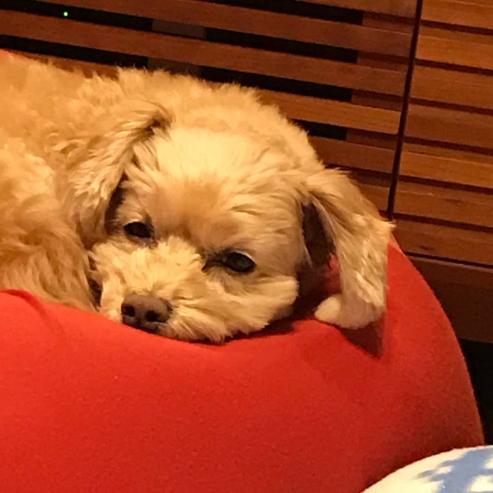 046c56e7 4d1d 43f9 8a5e 412e931472bf