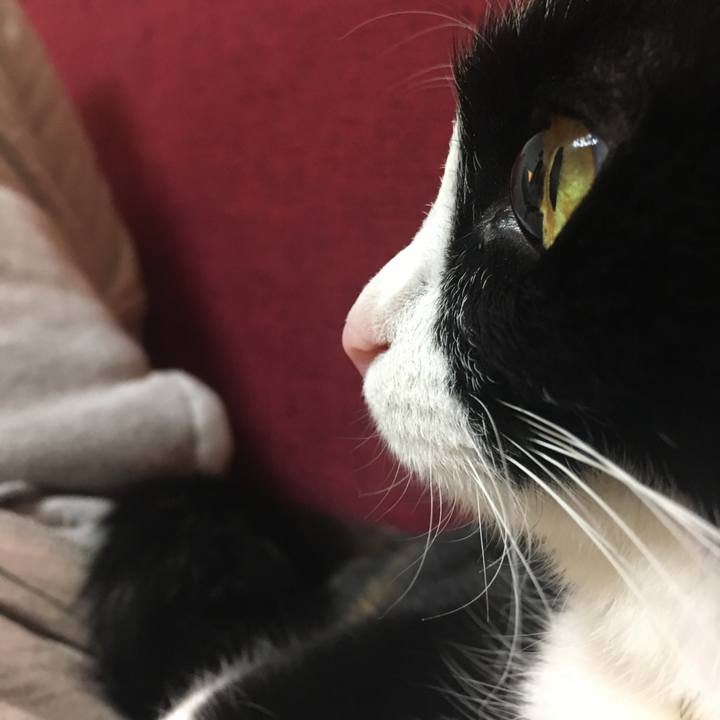 046c5c02 8318 46e3 a9e6 4de7af319df6