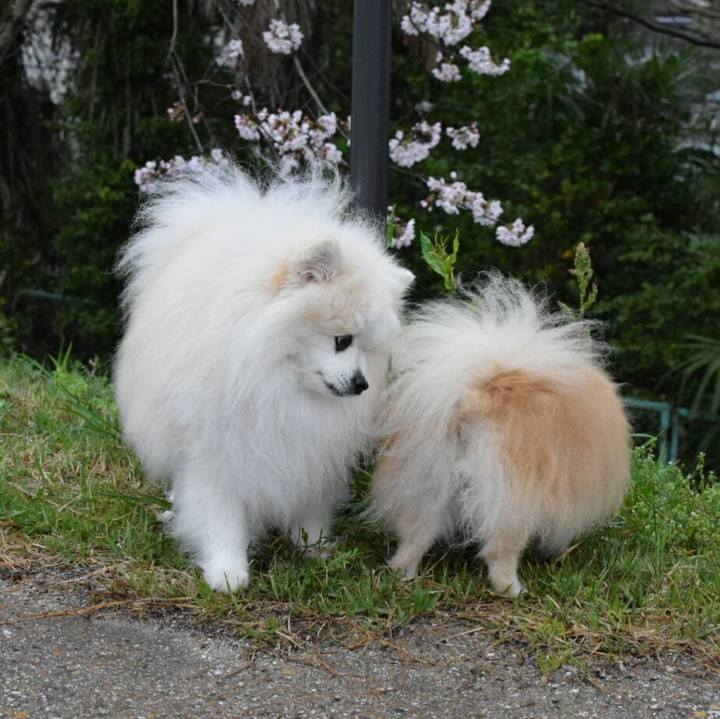 046cb97f 3bf4 4e66 8eeb 8bf7e5233930