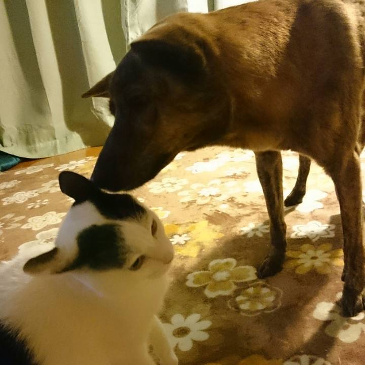 046cde5e 313a 4a4c b641 bb3e7fa8c0cc