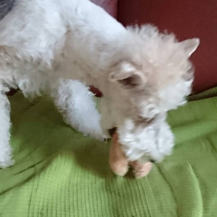 046ce7d8 b2fc 490e b992 291d24a7b748