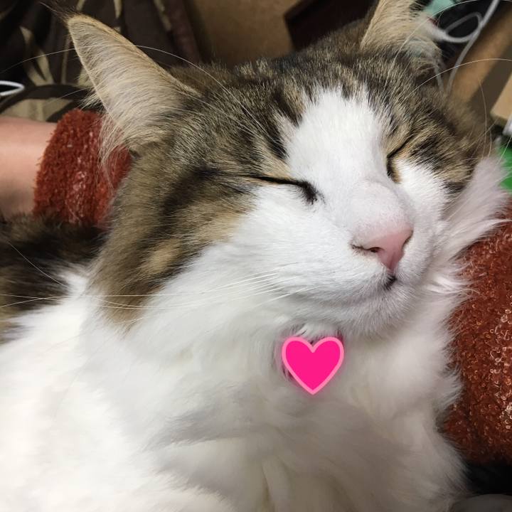 046d20fa 66f1 45ca 9b00 bceb4906d30f