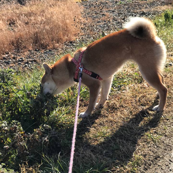 046d8948 bab5 479f a8f3 0b0cf906ef76