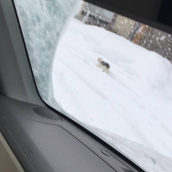 046dc192 d5ce 4cbc 908b 6c9a1bd547d6