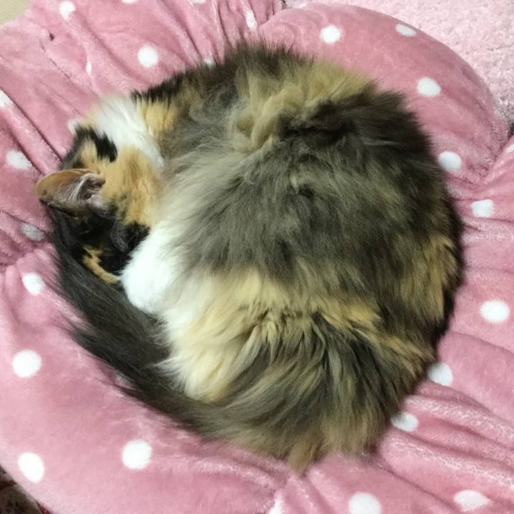 046e0725 1a6e 4f1d 8063 5034e561632a