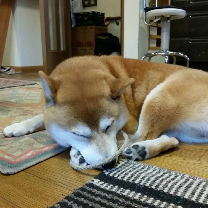 046e356d ec48 4420 9111 b1b9109ddb9c