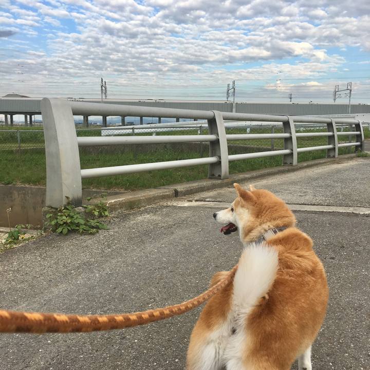 046e7392 2aa4 4a77 a7f0 fede556e94de