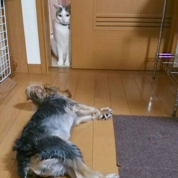 046fa42c ef1c 44a4 a68c a746ba0f9687