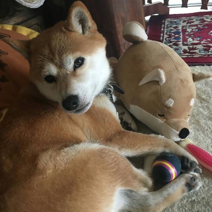 046ff84e ba0e 4a36 8b6f 689eda1ee8cd