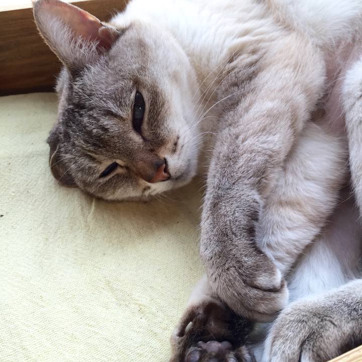 0470b610 5d4c 4777 9e08 a5d97141ca6c