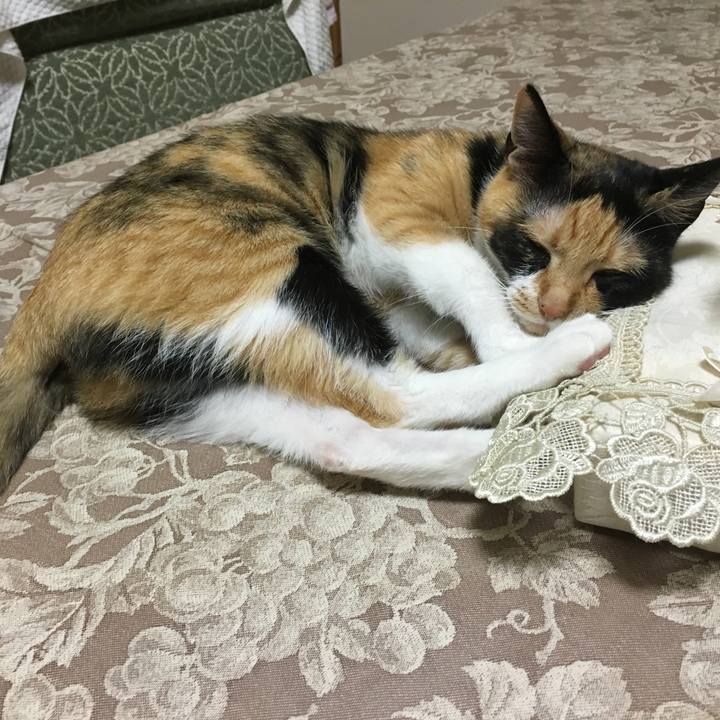 0470d92f 62a2 4f26 972e dafe79812cc6