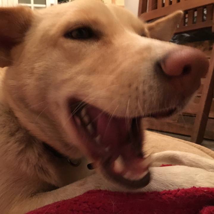 0470de38 e119 4acf 874f f0263b5d77f0