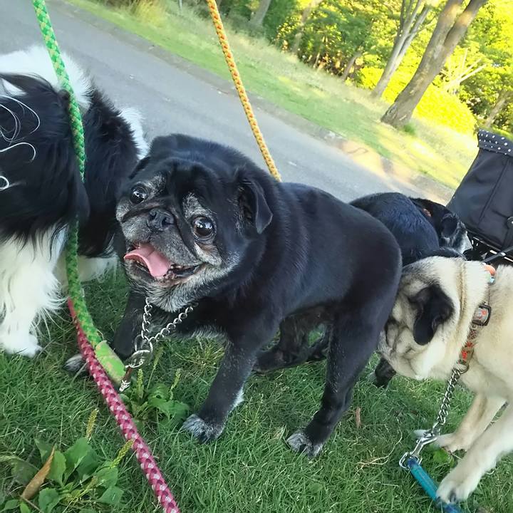 04710a60 47d2 469d bafb 669d9b637cb1