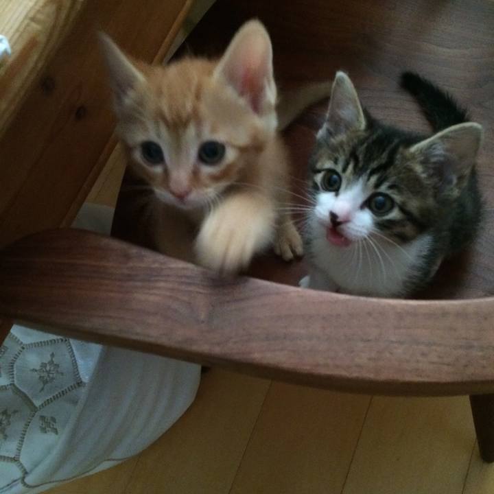 0471ca62 2a6e 4cc1 beca 041b051c4dc5