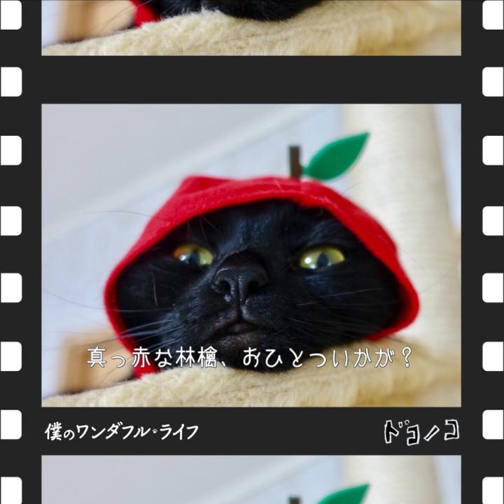 0471fbf2 08a9 4e51 aea6 55039c882adb