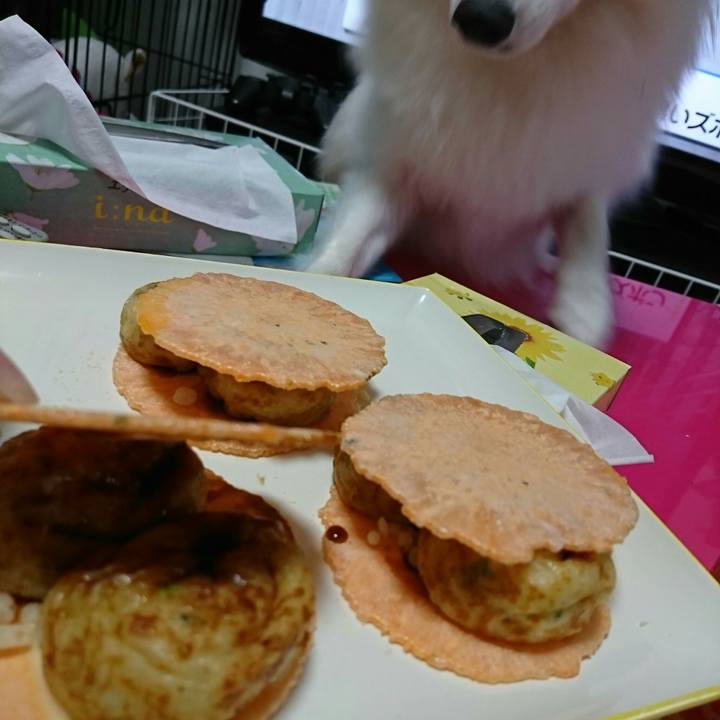 047246ba e5a8 4c15 a7a9 187ccf53852a