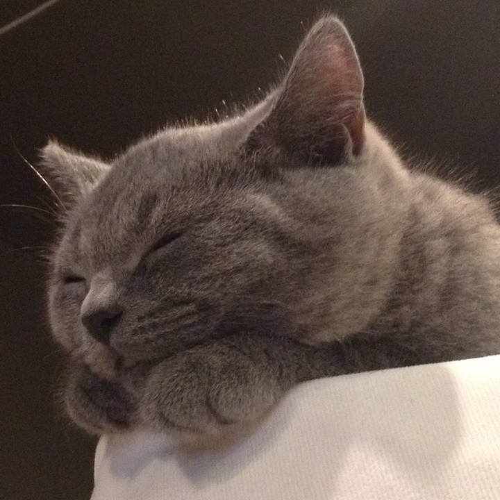 04726355 1319 428d 8a6d fed1d5dd8744