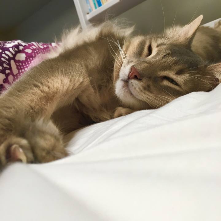 0473a593 5e16 4db2 b66b 8b9008087910