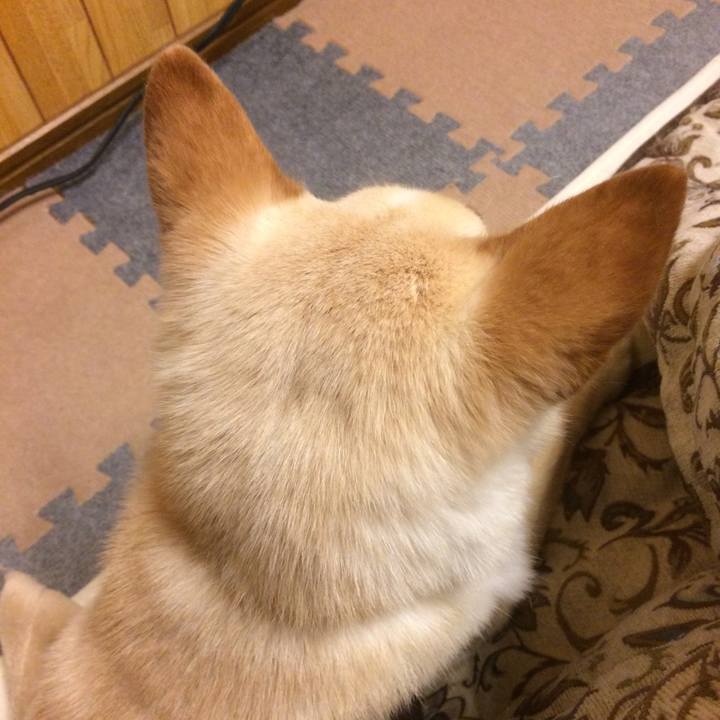 0473edaf 6aea 44dd 9d51 16b1c7821ed5