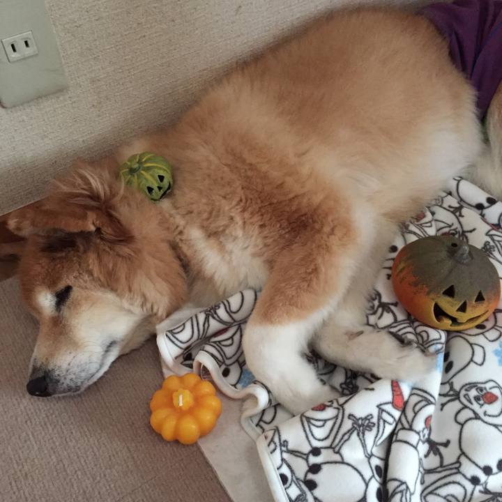 0473f03f 5b9d 4630 9123 61dc6fc430b4