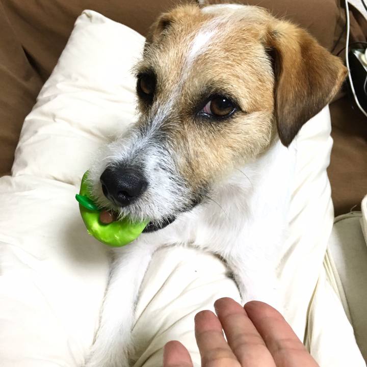 04745512 7ac3 4e44 9bf7 d0a6f2cbd0ca