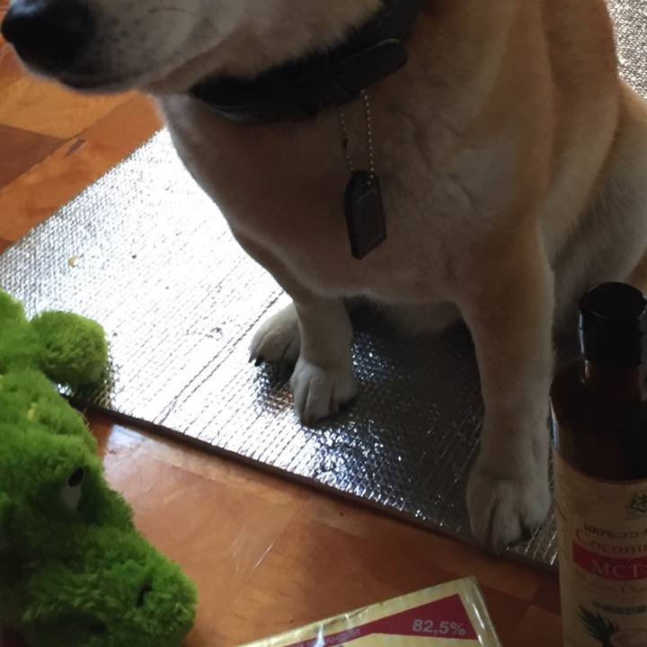 0474d14d d9dc 4761 b5fd 2f6d31866617