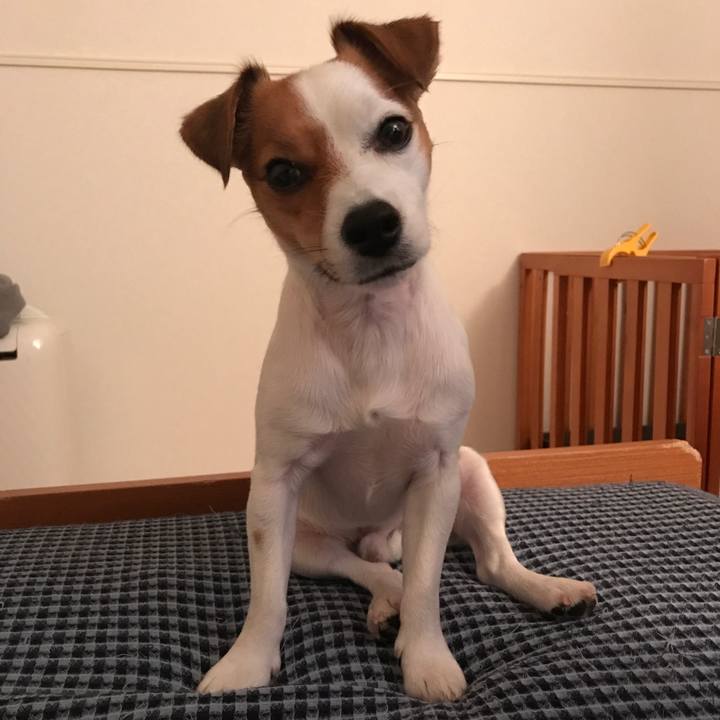 047503d9 3ce8 4ac8 9e53 bbbe8174189b