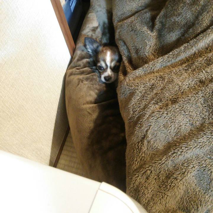 0475c458 1985 42e4 b9ca 7bac785a51fc