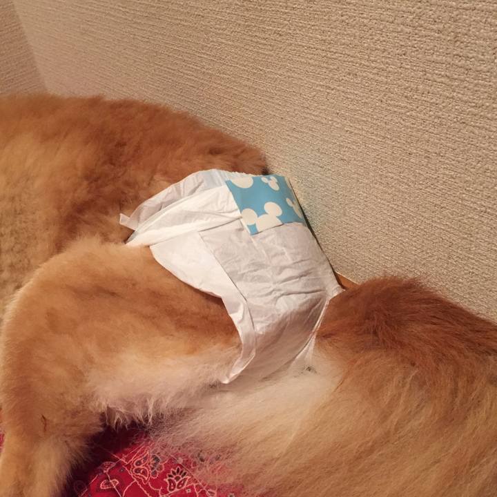 04763660 e4f8 4182 93b7 24b6fccaaac5