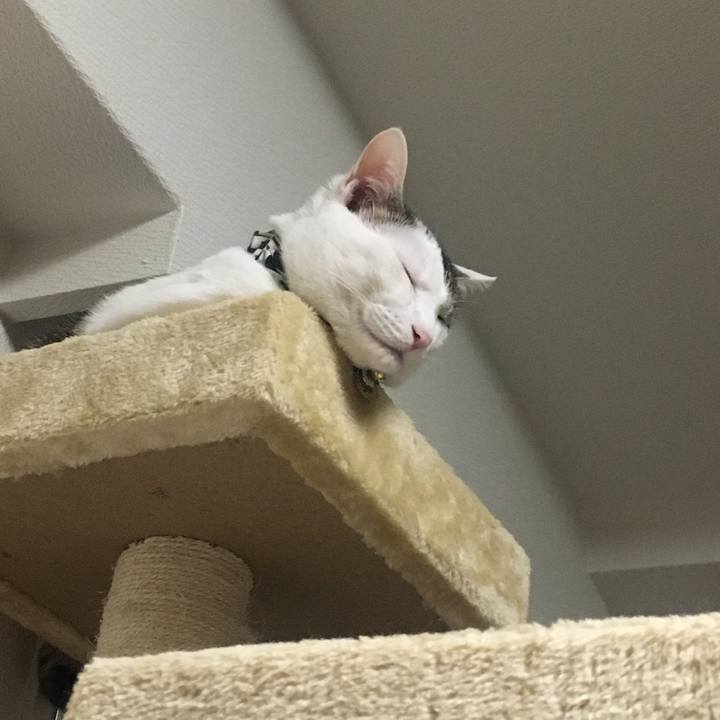 0476b700 dcb6 4d0e bfb5 bda42453b4d6