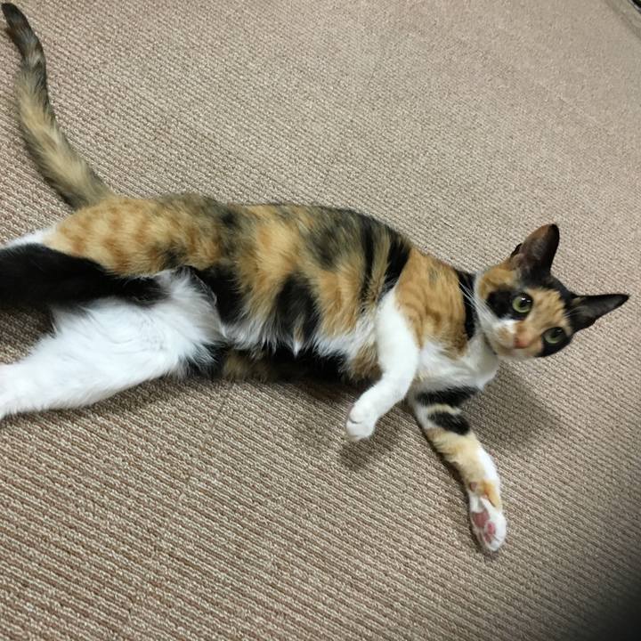 0476c344 50c6 4527 ac34 c7cf765a8bc8