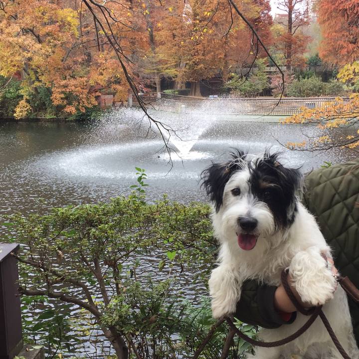 04770b74 80d3 4b6a bbaa f9071a62b0e4